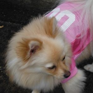 Meet your Posher, Trudy